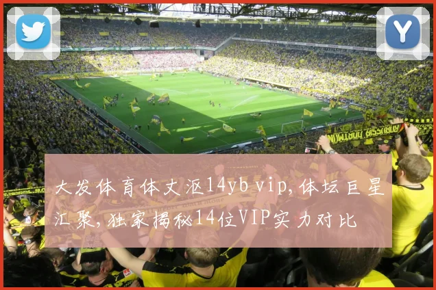 大发体育体丈沤14yb vip,体坛巨星汇聚,独家揭秘14位VIP实力对比
